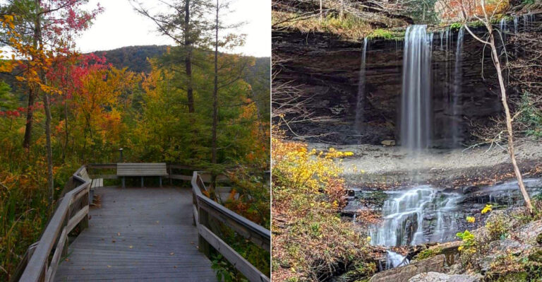 The Stunning Boardwalk At This New York State Park Will Take Your Breath Away This Year