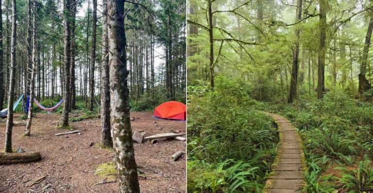 The Stunning Boardwalk Hike In Washington Outdoor Lovers Should Know About
