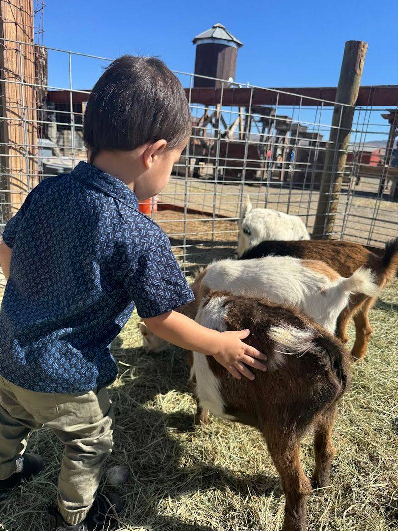 Baby Animal Days Are A Big Family Favourite