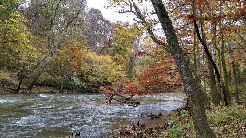 Canoeing Bear Creek And Feeling The Current Do The Work