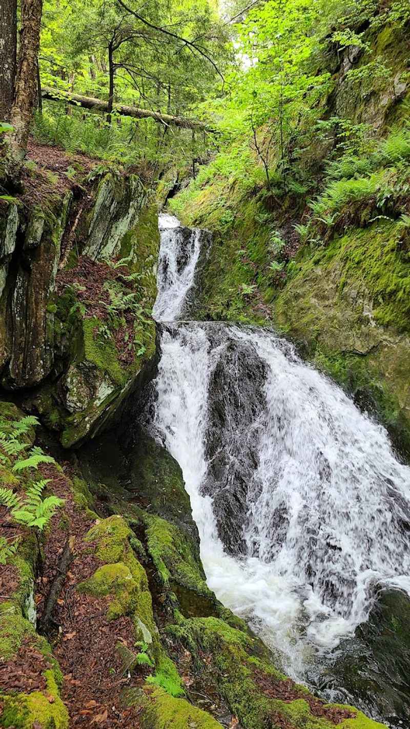 Parker Brook Falls And The Surrounding Waterfall Country