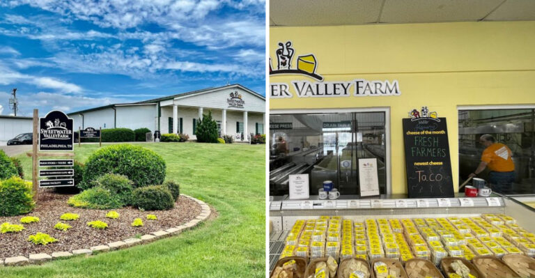 The Tennessee Cheese Factory Tour That’s Easily One Of The Best In The Country