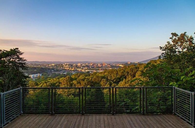 Stringer's Ridge Offers Wild Green Space Above The City