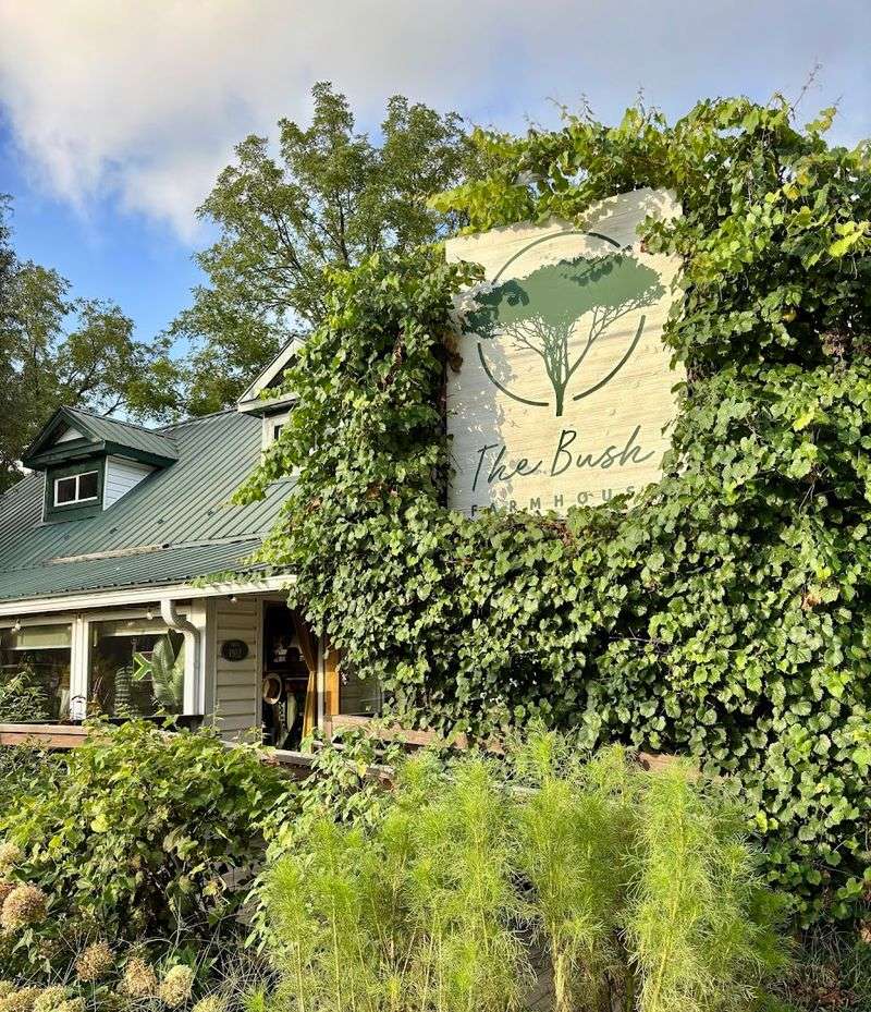 Bush Farmhouse