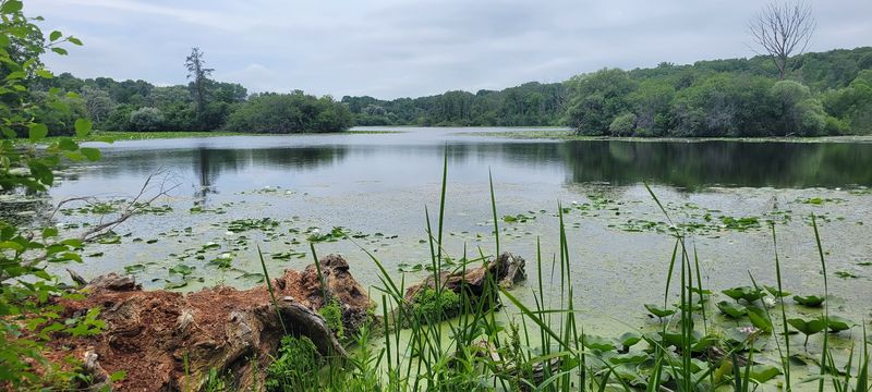 Whitnall Park Makes The Hike Feel Bigger Than Its Mileage