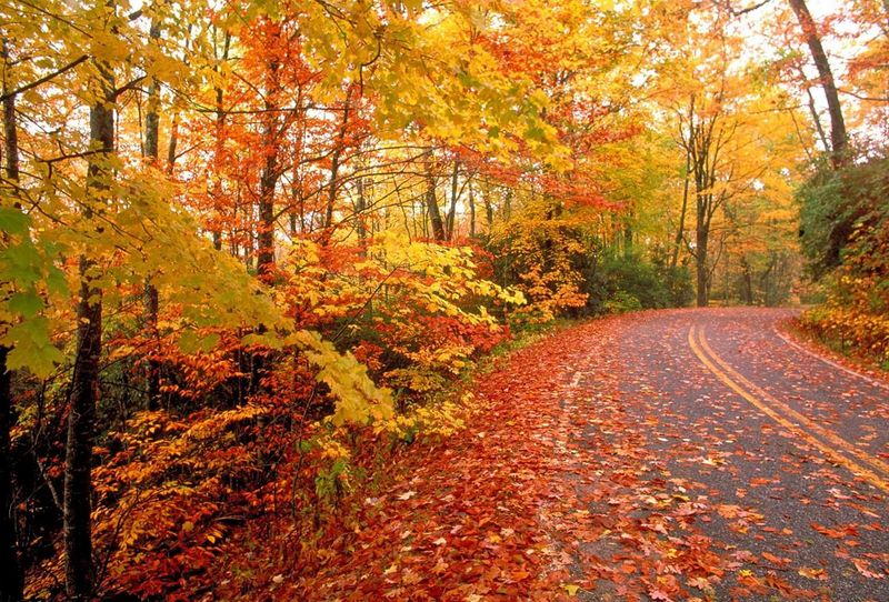 Grant Park Is One Of Milwaukee County's Oldest Parks