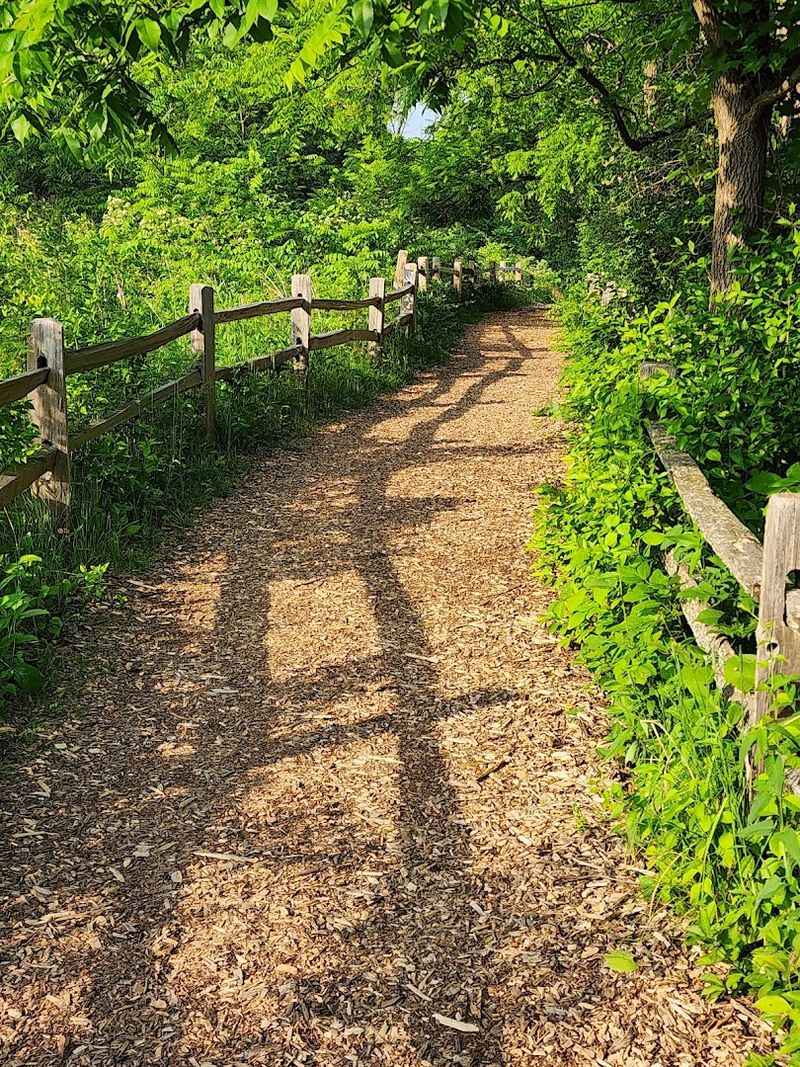 It Is A Beginner-Friendly Hike With Very Little Elevation Gain