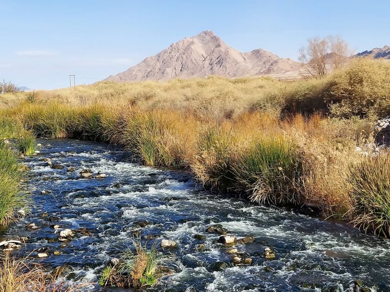 The Route Mixes Desert Views With Wetland Scenery