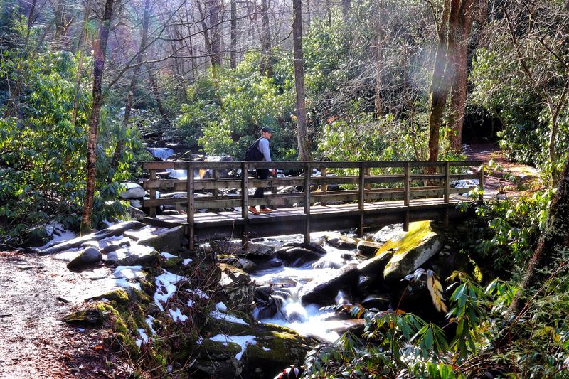 Road Prong Creek And The Beauty Of The Lower Trail