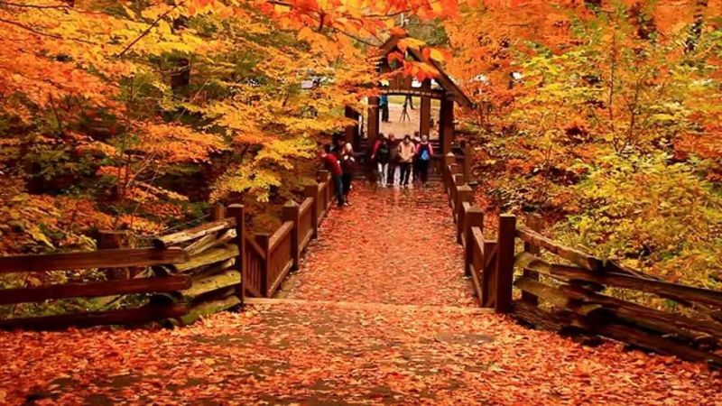 Seven Bridges Trail Is About Two Miles Long