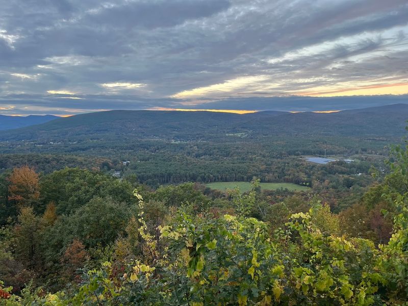 Fall Foliage Season And Why Timing Matters
