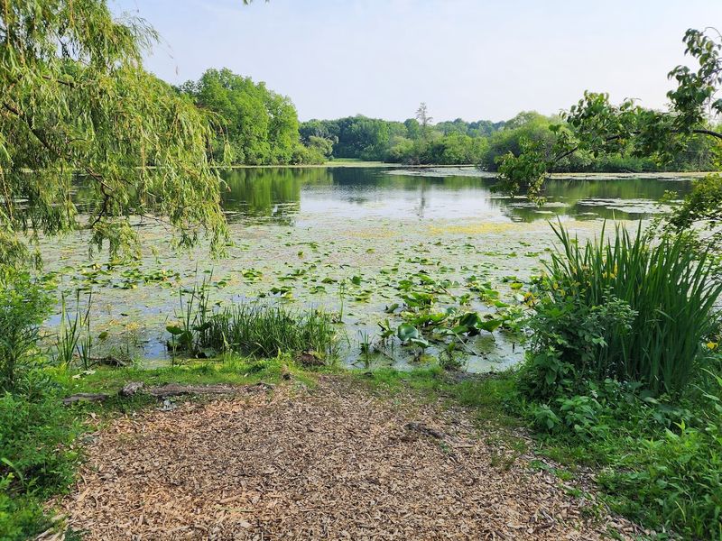 The Trail Passes Wetlands, Lowland Forest, And Prairie Edges