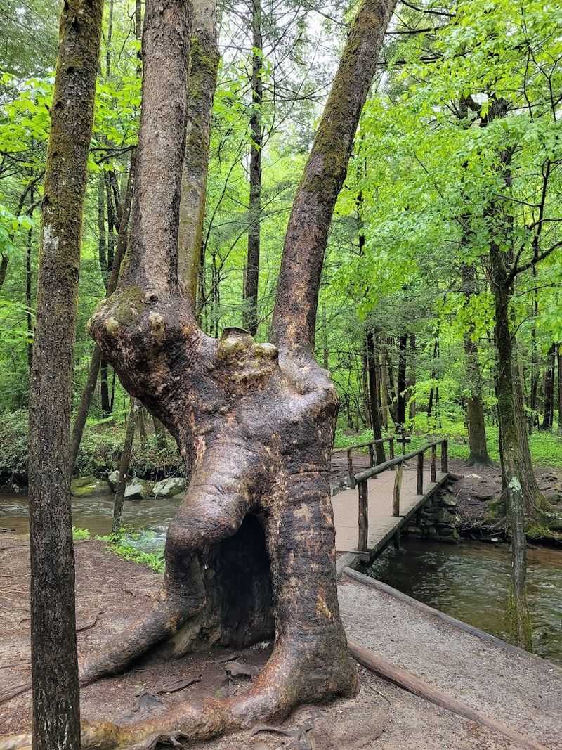 Families And Young Children On This Trail