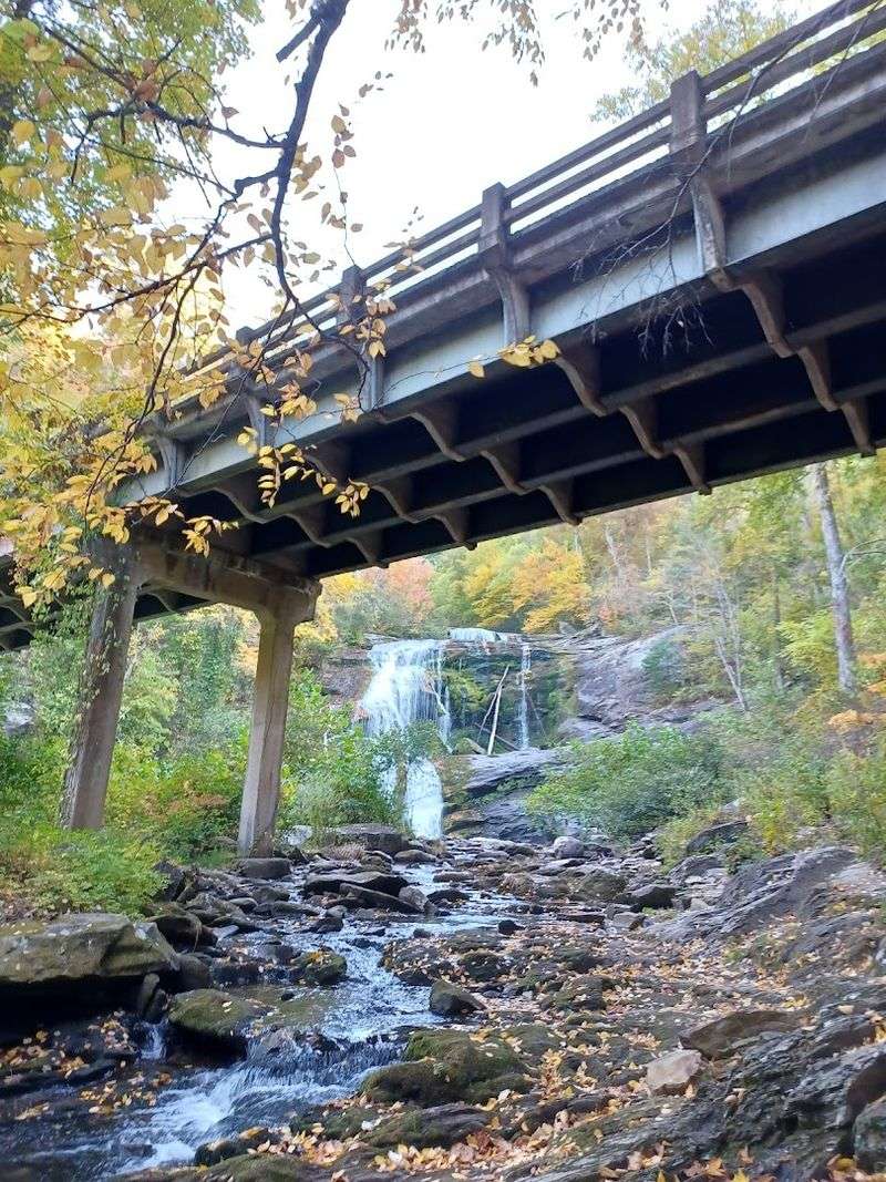 The Bridge With A View Worth Crossing Twice