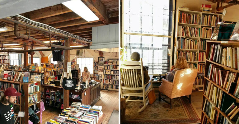 The Welcoming Bookstore Cafe In Massachusetts Where You Can Read, Sip, And Stay All Day