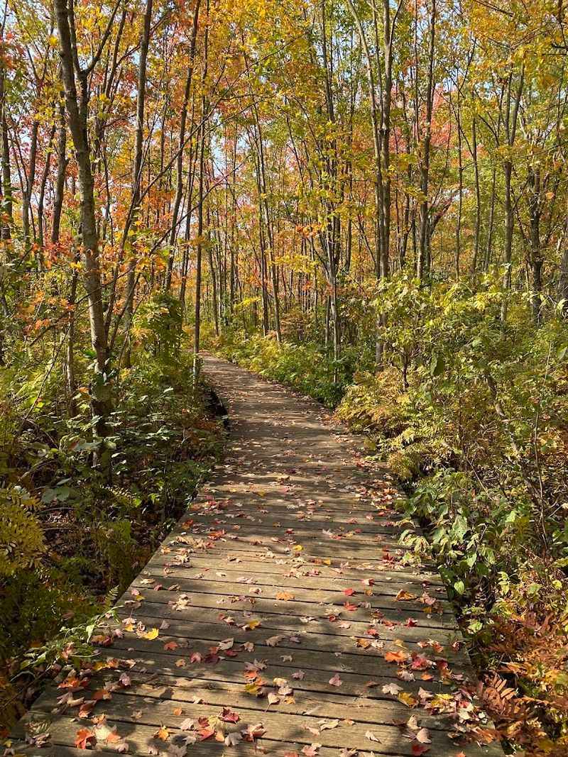 Beaver Lake Nature Center