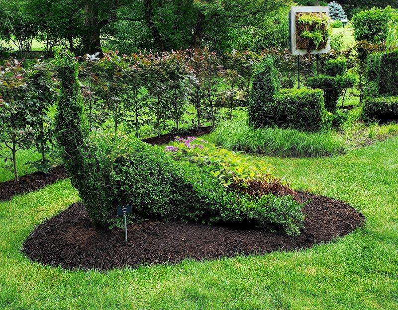Lucy's Garden And Its 22 Whimsical Topiary Creatures