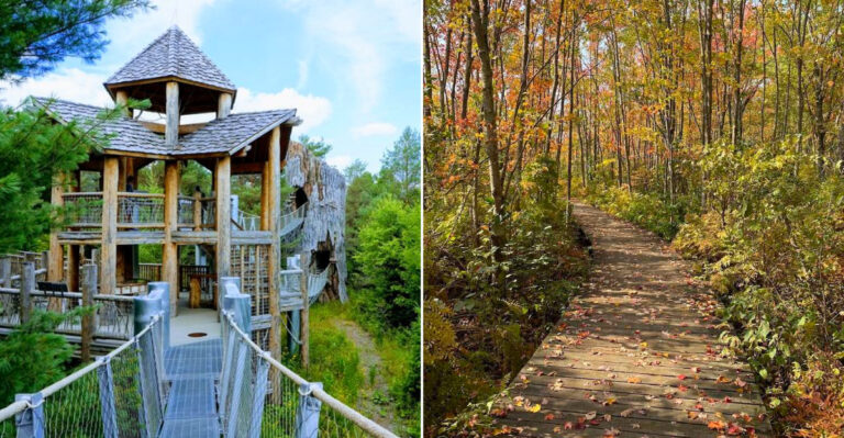 These New York Boardwalk Trails Give Families Big Views Without A Tough Hike In 2026