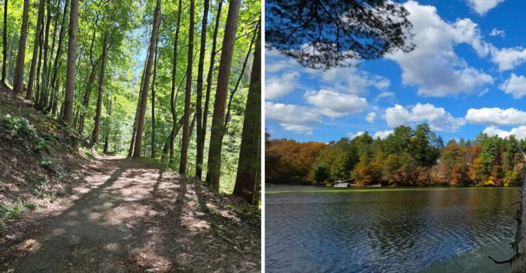 This 1.8-Mile Wisconsin Trail Leads To A Quiet Lake Most Visitors Never See