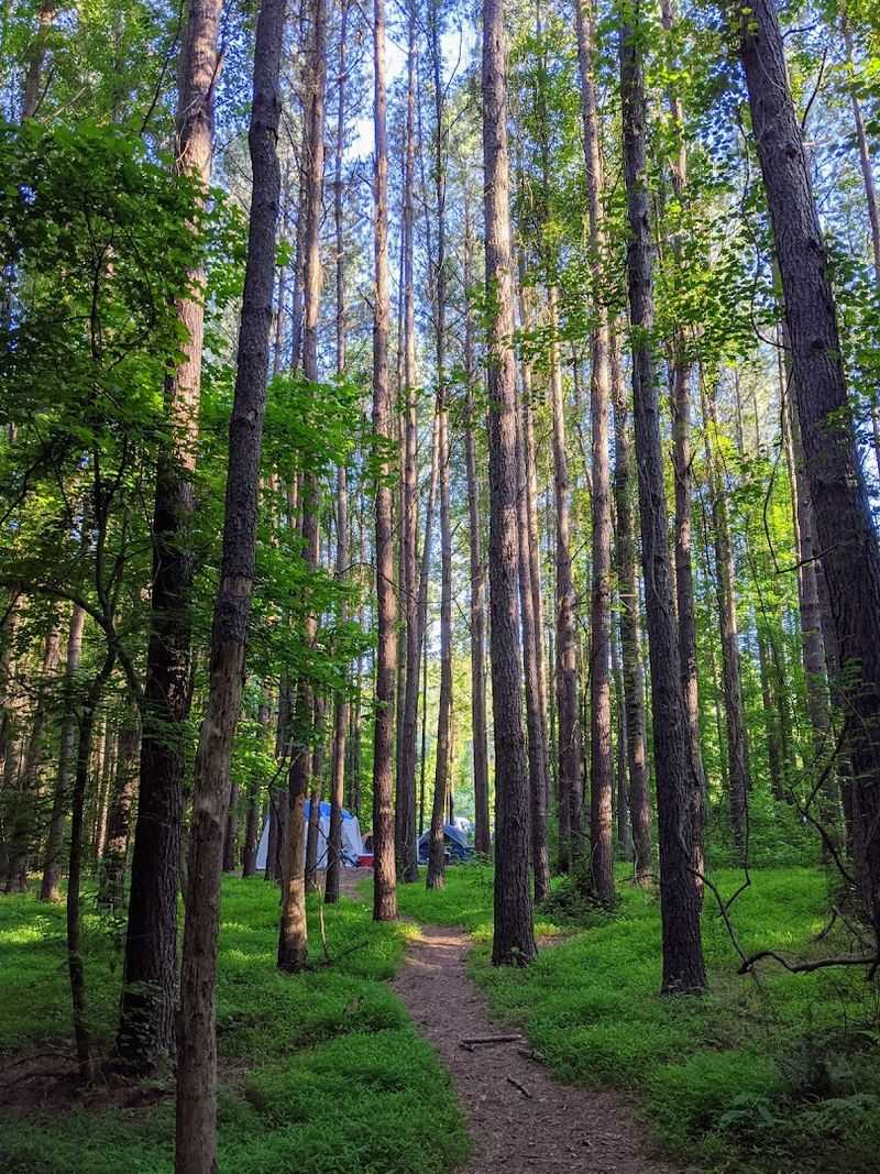 Flora Diversity In Georgia State Parks