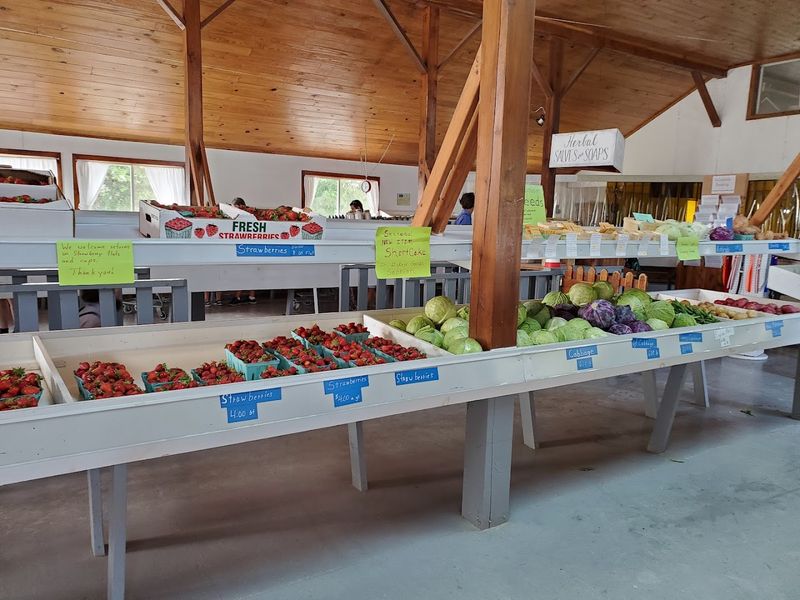 Fresh Produce Straight From The Farm To Your Basket