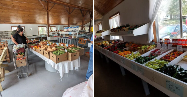 This Amish Market Has Become A Favorite Find For Bargain Hunters In Tennessee