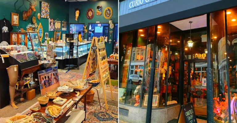 This Bizarre Curiosity Antique Shop In New York Is Filled With Oddball Finds And Unusual Collectibles