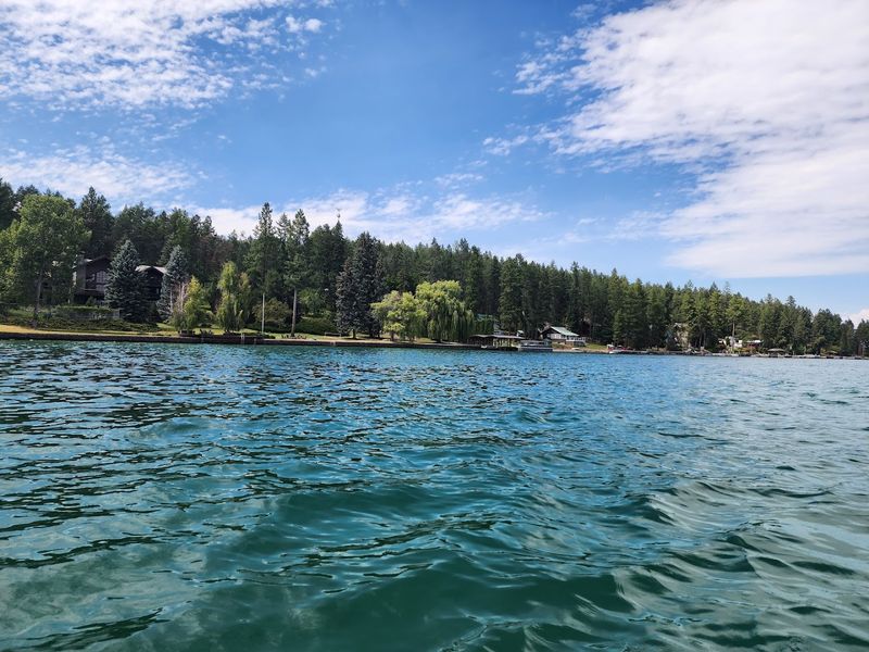 Crystal Clear Waters And Wildlife Habitat