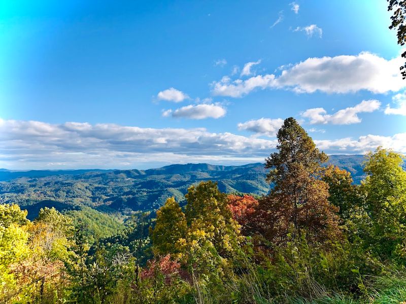 Natural Landscapes And Wildlife Along The Route