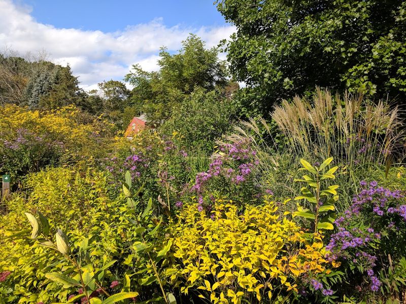 The Gardens That Paint Themselves Season After Season