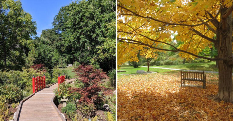 This Charming Arboretum In Massachusetts Is So Pretty, It Feels Like A Claude Monet Painting