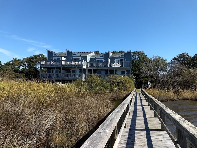 Unique Coastal Wildlife Encounters