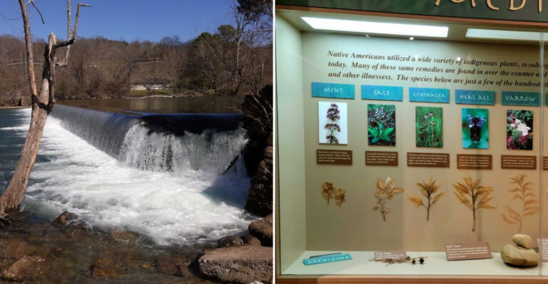 This Charming Tennessee River Town Is One Of The Best Places To Truly Breathe
