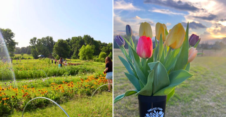 This Delightful Flower Farm In Mississippi Bursts With Spring And Summer Color