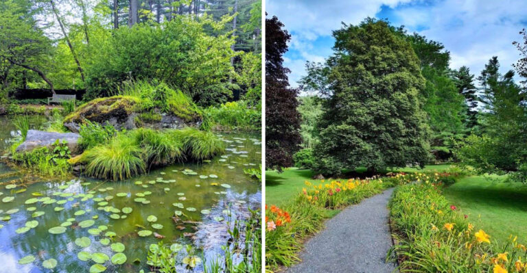 This Dreamy Botanical Garden In Massachusetts Is Ideal For Stress-Free Weekend Trips