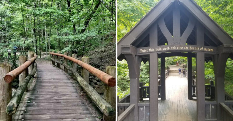 This Dreamy Wisconsin Trail Might Be One Of The State’s Most Beautiful Walks