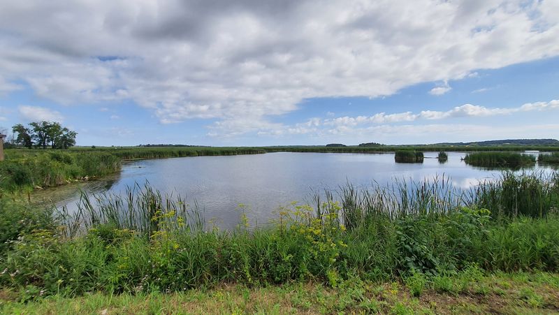 The State Wildlife Area Covers The Southern Third Of Horicon Marsh
