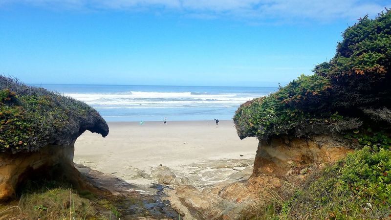 Natural Landscapes And Wildlife Watching