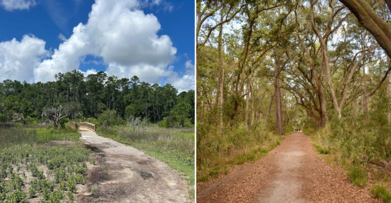 This Hidden Georgia Hiking Trail Leads To A Magical Forest And A Secret Coastal Escape