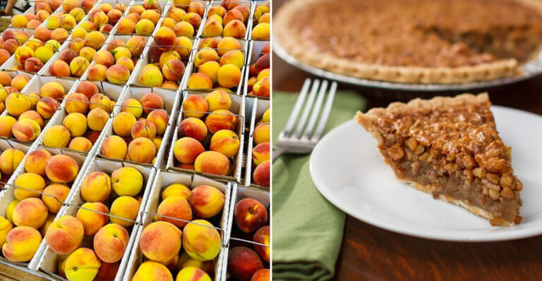 This Hidden Georgia Roadside Stand Serves Peach Cobbler Worth The Drive