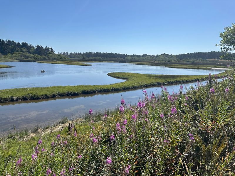Vivid Wildlife Observations Along The Trail