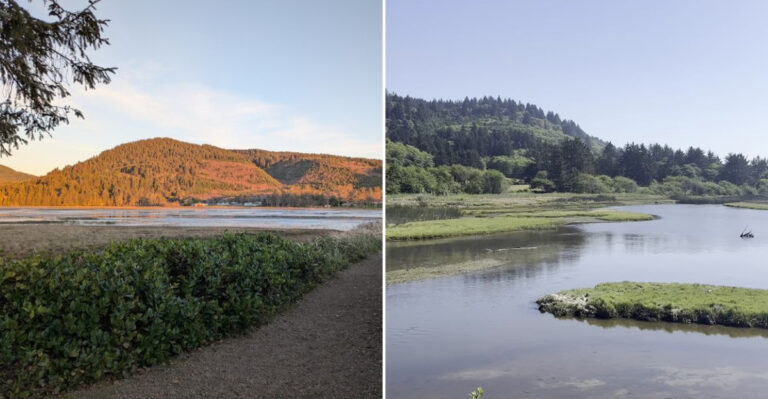 This Hidden Oregon Coastal Walk Offers Stunning Pacific Views Without The Tourist Crowds