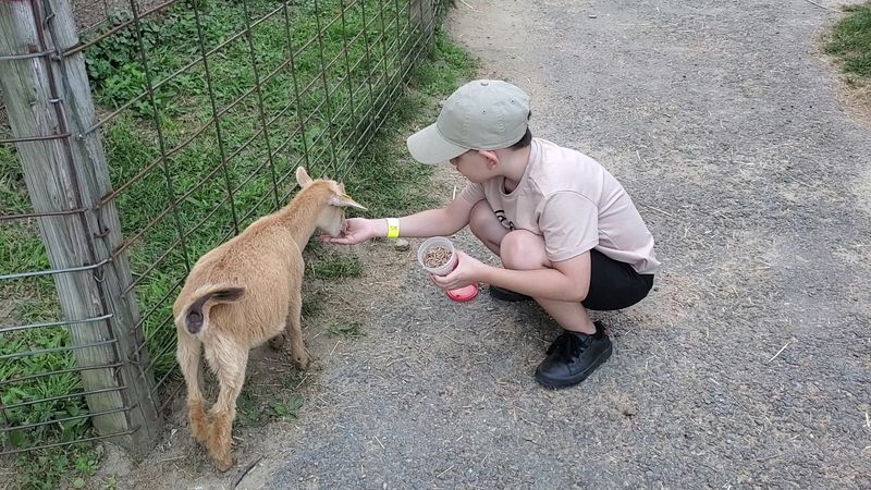 Animal Encounters That Go Way Beyond A Petting Zoo
