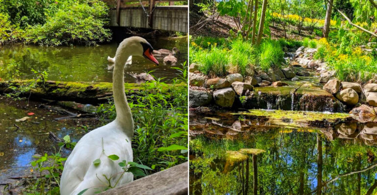 This Long Island New York Park Has Streams And Wooded Trails That Feel Like A Secret Only Locals Know