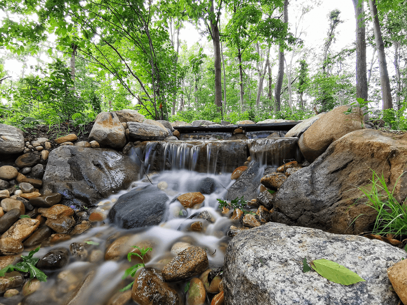 A Green World That Earns Every Superlative