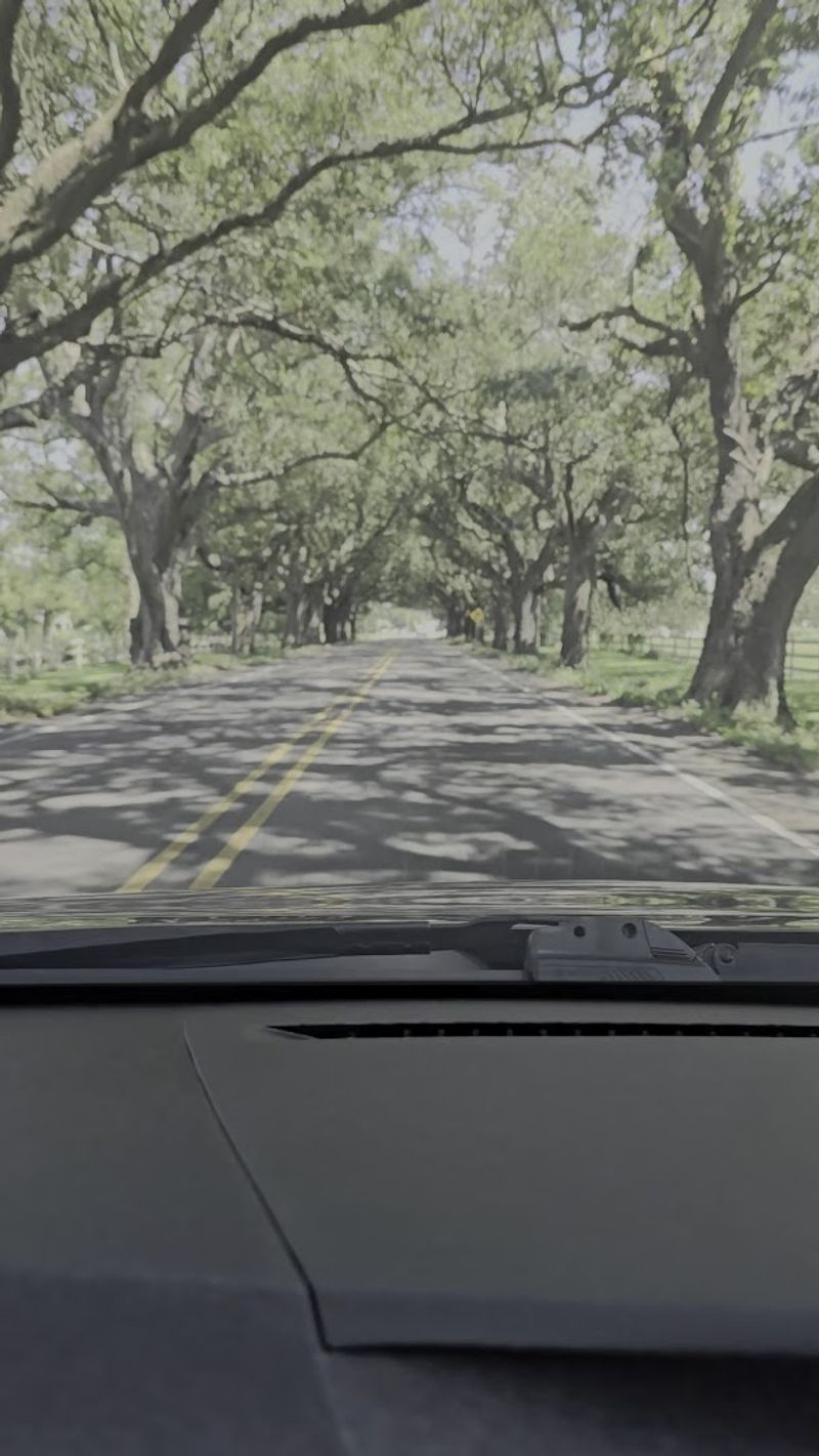 What Makes This Road Unlike Any Other Drive