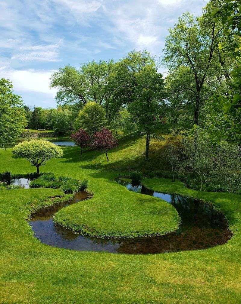A Garden That Feels Like It Belongs In Another World