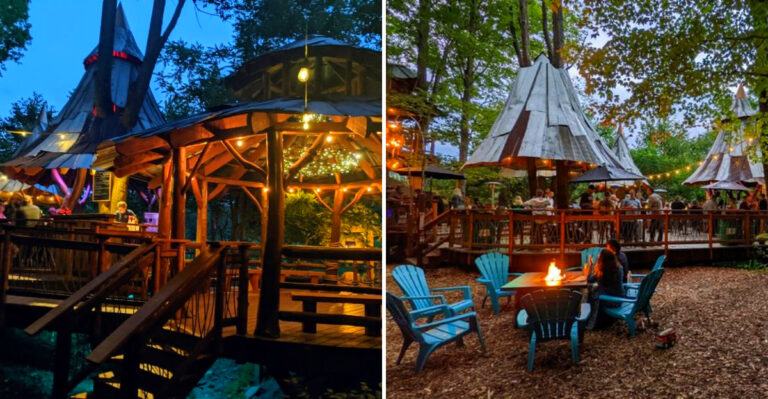 This Magical Seasonal Treehouse Cafe In New York Belongs On Your 2026 Bucket List