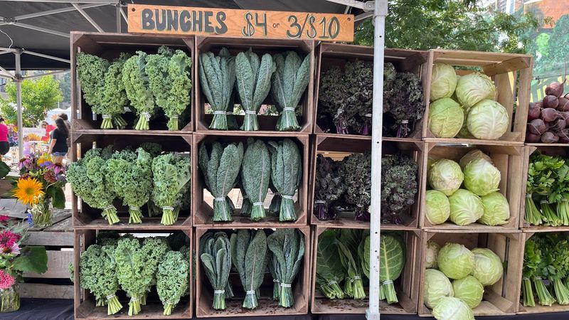 Seasonal Produce Varieties Available Throughout The Year