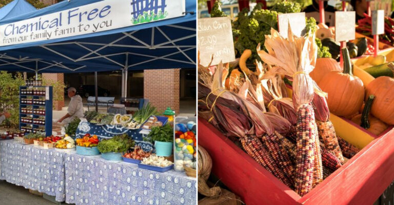 This Massive Iowa Farmers Market Has Become A Must Visit Destination For Food Lovers And Shoppers